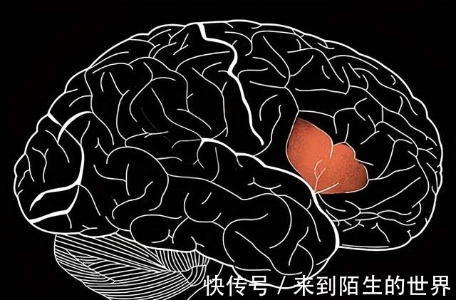 中枢|我们在思考时,脑海里出现的声音是谁的?