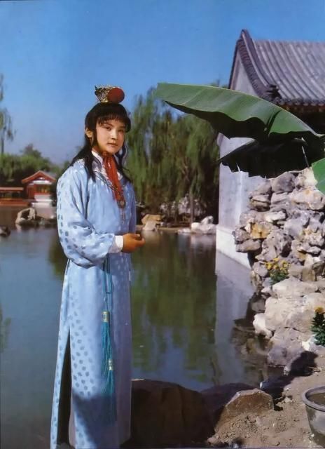 贾宝玉最后去了哪里脂砚斋的一句批语说出了最终归宿