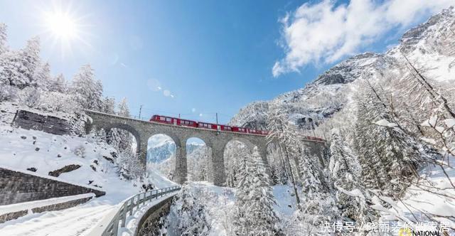 不胜|大雪｜巧穿帘罅如相觅，重压林梢欲不胜