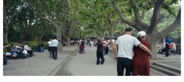 不理解万岁：在别人的故事里看到自己