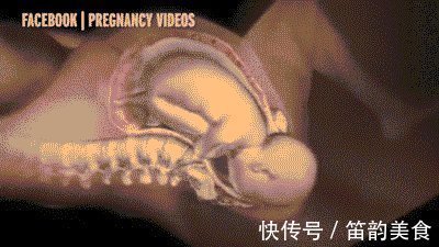 间隔时间|分娩痛得死去活来时宝宝在干嘛？暖哭！你真的不是一个人在战斗！