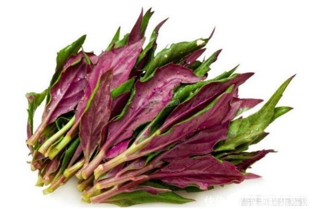 农村|农村这种野菜是天然补血菜,能吃又能观赏,在城里饭馆一般吃不到