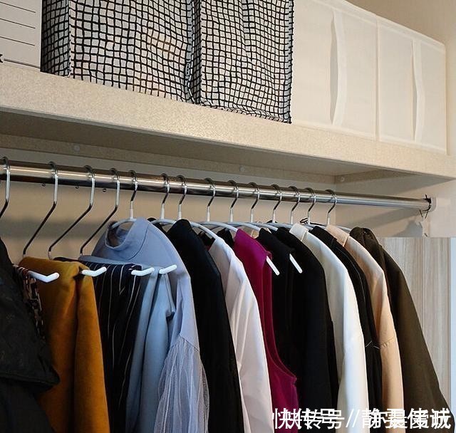 物品|日本收纳达人的家,物品摆放井井有条,吸引众多人前来学习,佩服