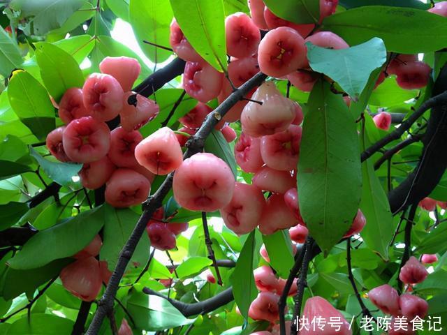 手把手|吃不完的水果怎么保鲜,能保鲜多长时间,手把手教你水果保存方法