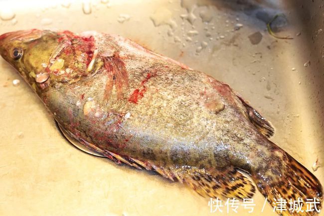 肉质最鲜嫩的7种鱼，营养鲜美鱼刺少，小孩常吃，强健体质