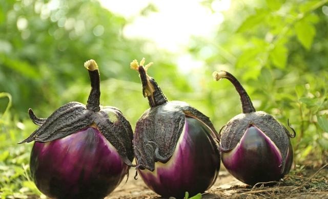 人到中年|人到中年想长寿,学会吃3种食物,降压减脂,抗衰老,增强抵抗力