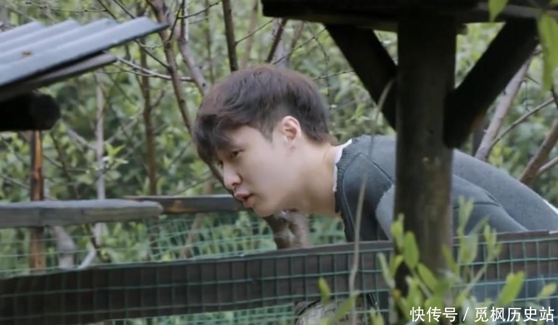 何老师 看张艺兴是如何一步一步被“骗”进鸡窝的?