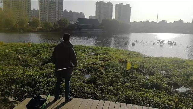 浮漂|冬季鱼口轻,浮漂调钓很重要,这两点不考虑有口也没信号