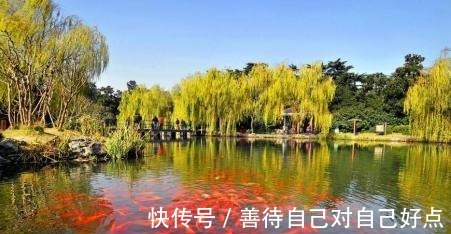 上联&俊俏尼姑出一上联池中荷叶鱼儿伞,和尚下联非常经典,动人凡心!