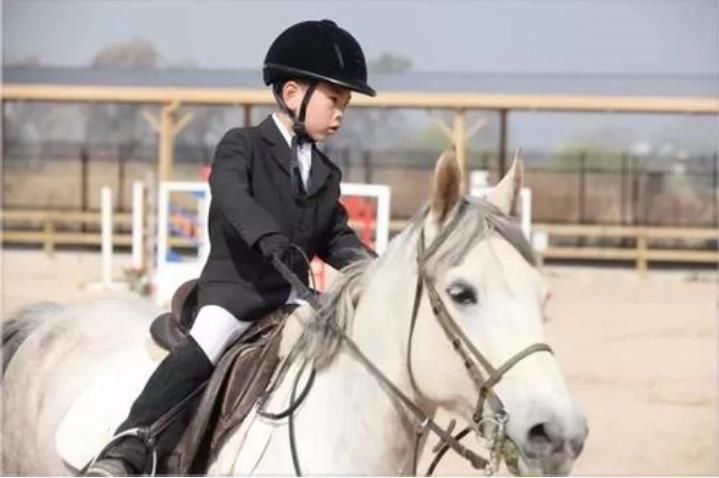 兴趣|你为自家孩子报名了哪些兴趣辅导班?学钢琴过时了,第一种烧钱呀