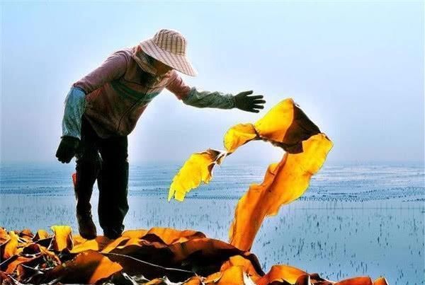 中国人从“爱用味精”,变成“不吃味精”,为什么不敢吃味精