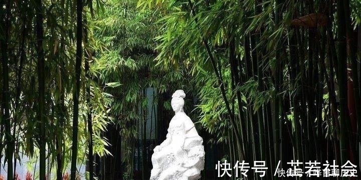 仕途&一位诗人科举十年没有高中,绝望之时写下一首诗,家喻户晓