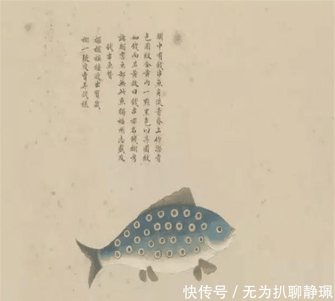 画谱|乾隆枕边翻烂的画谱,被称为清代《山海经》,画中动物达300种
