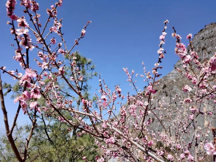 指南村|登顶东川小牯牛山——慈悲殿