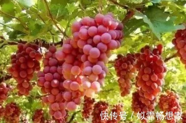 味甘性|“坐月子”对于女性来说如此重要的事情,我们的饮食禁忌是什么