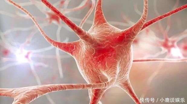 老年人|104岁老人透露长寿秘诀既吸烟又喝酒,却唯独不“碰”这件事