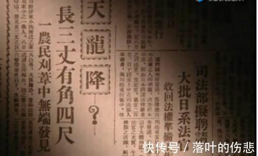 营口市志|1934年的“营口坠龙”是怎么一回事 这世上真有龙存在吗