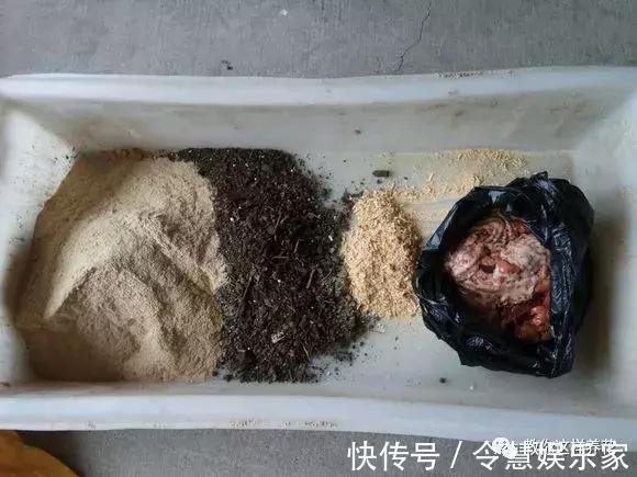 这2种“壳”丢了太可惜,埋花土里3年不板结,种什么花都旺!