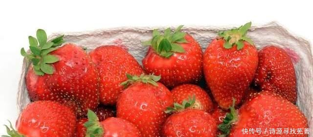 洗草莓,不要用食盐,换成这2样,虫卵脏东西全跑光,干净放心吃
