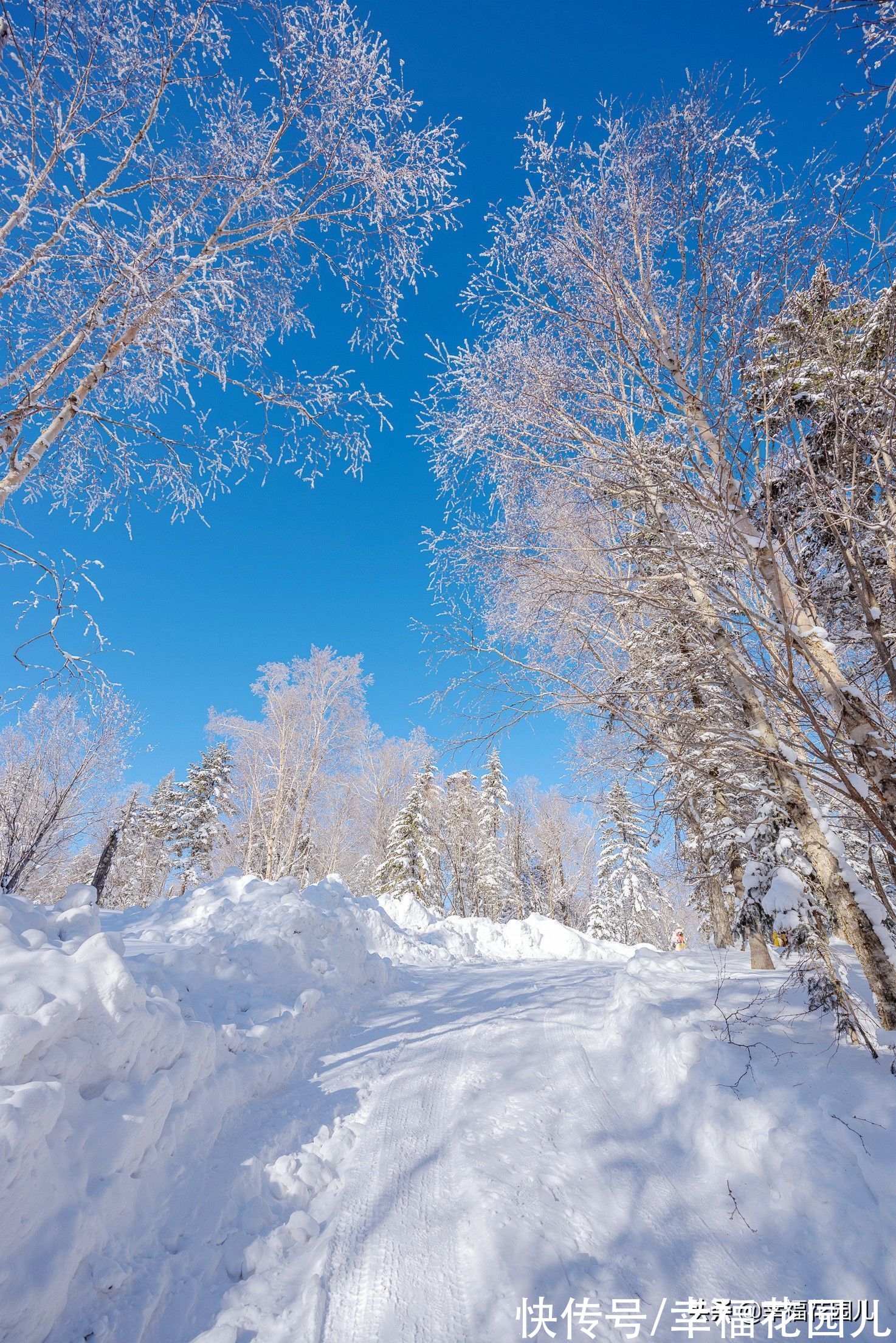 老桥|赏冰、玩雪、看美景，找回儿时过年的味道，就在非常冰雪黑龙江