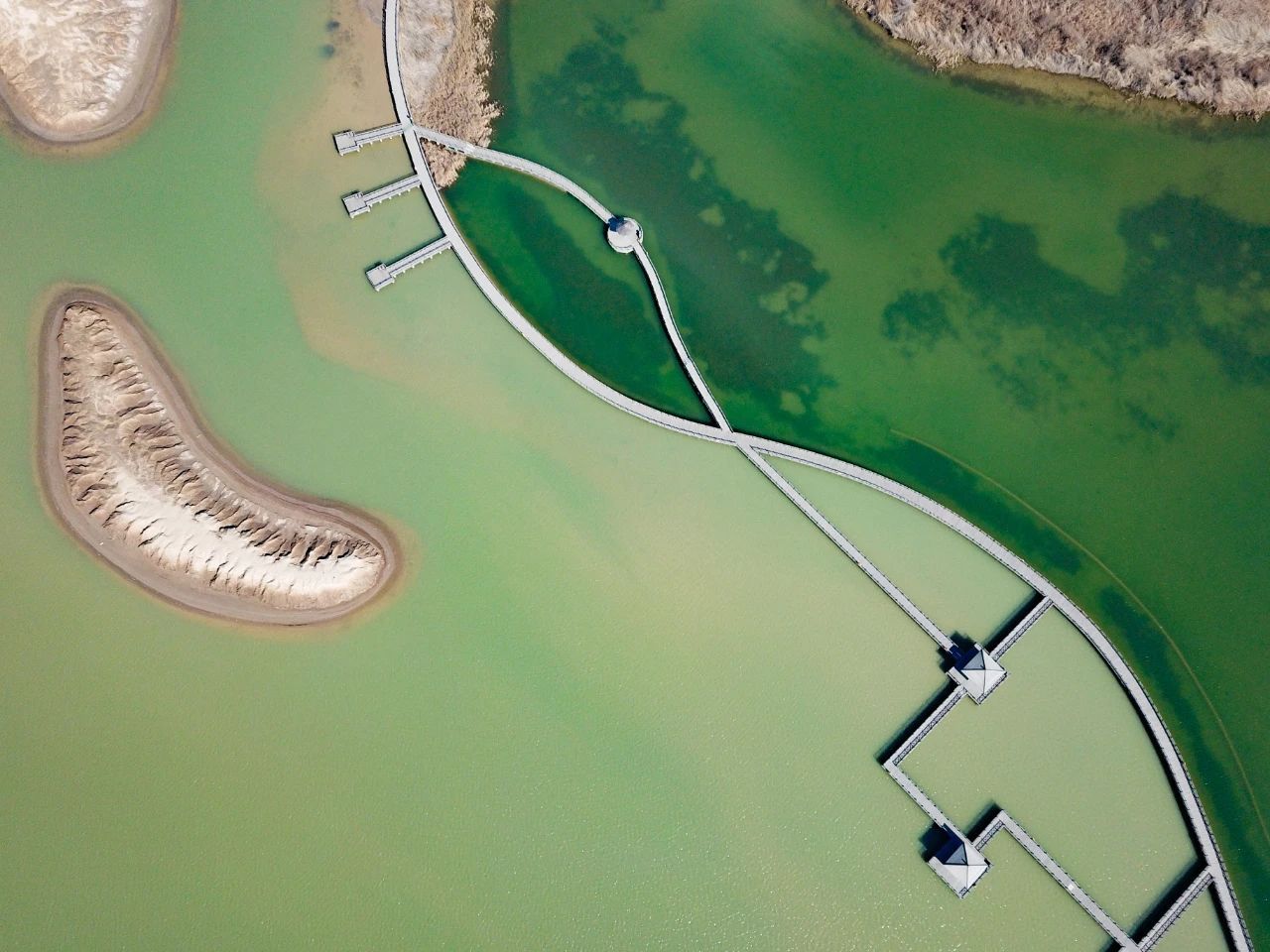 半月谈 ｜ 东营：多彩谋多赢