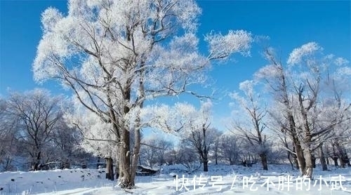 悲愁&罗隐的一首《雪》,短短八句话,不提一个雪字,却细腻逼真
