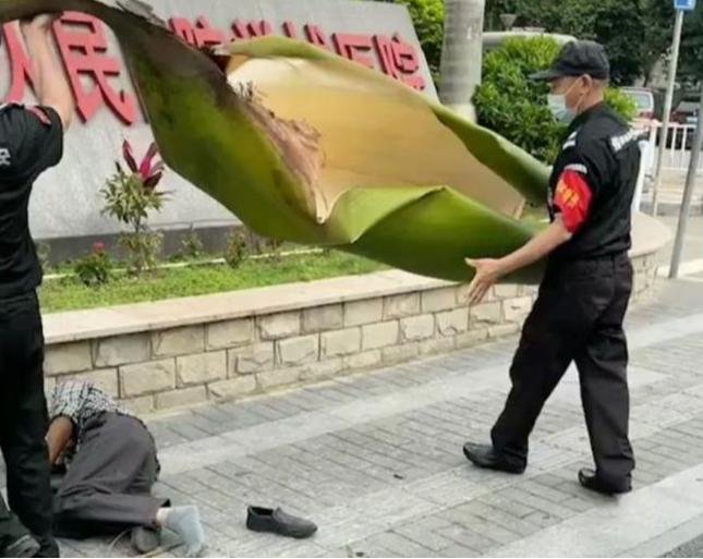 颅骨|大脑又软又糯，为什么我们可以摇晃翻滚，脑子不会烂成一团？