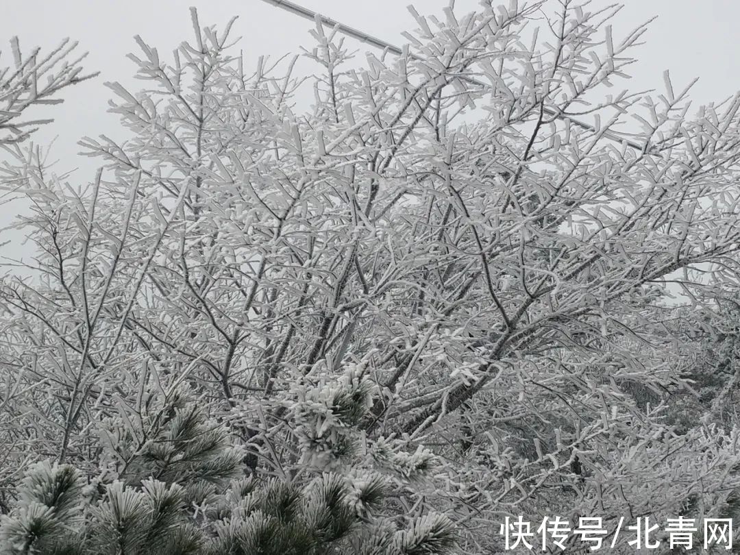 云海|太美了！台州最新雪景！括苍山跌至-10℃，再现云海奇观