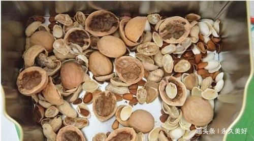 过年这种壳别扔，都是养花宝贝，养啥花都爆盆，比花肥还厉害