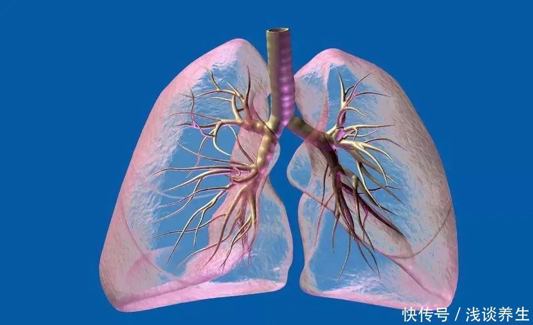 冬季|大雪过后,养生为重,“补三物,防三病,学三法”,来年更健康!