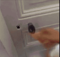 |搞笑GIF趣图小朋友,你们在玩什么游戏呢!