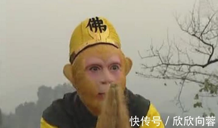 三藏!出家人从不说谎,可西游记中,唐僧的一句话,就骗了悟空的一辈子!