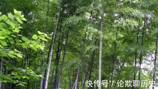 唐诗@唐诗里一首描写风的诗作,通篇都是风,但是却没有一个风字!