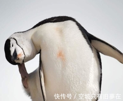 让人觉得神奇的20条冷知识