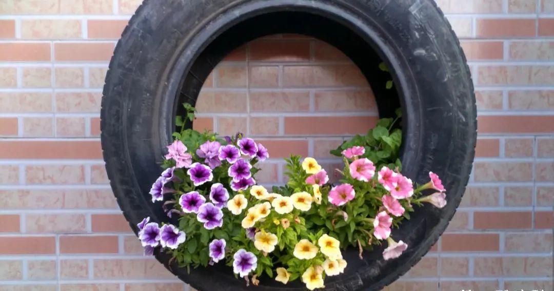 10个偏方,能省不少钱,把花养的又肥又壮