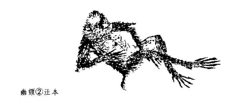 山海经|山海经北山经中的怪兽全图文解说四,其中怪兽你认识几个