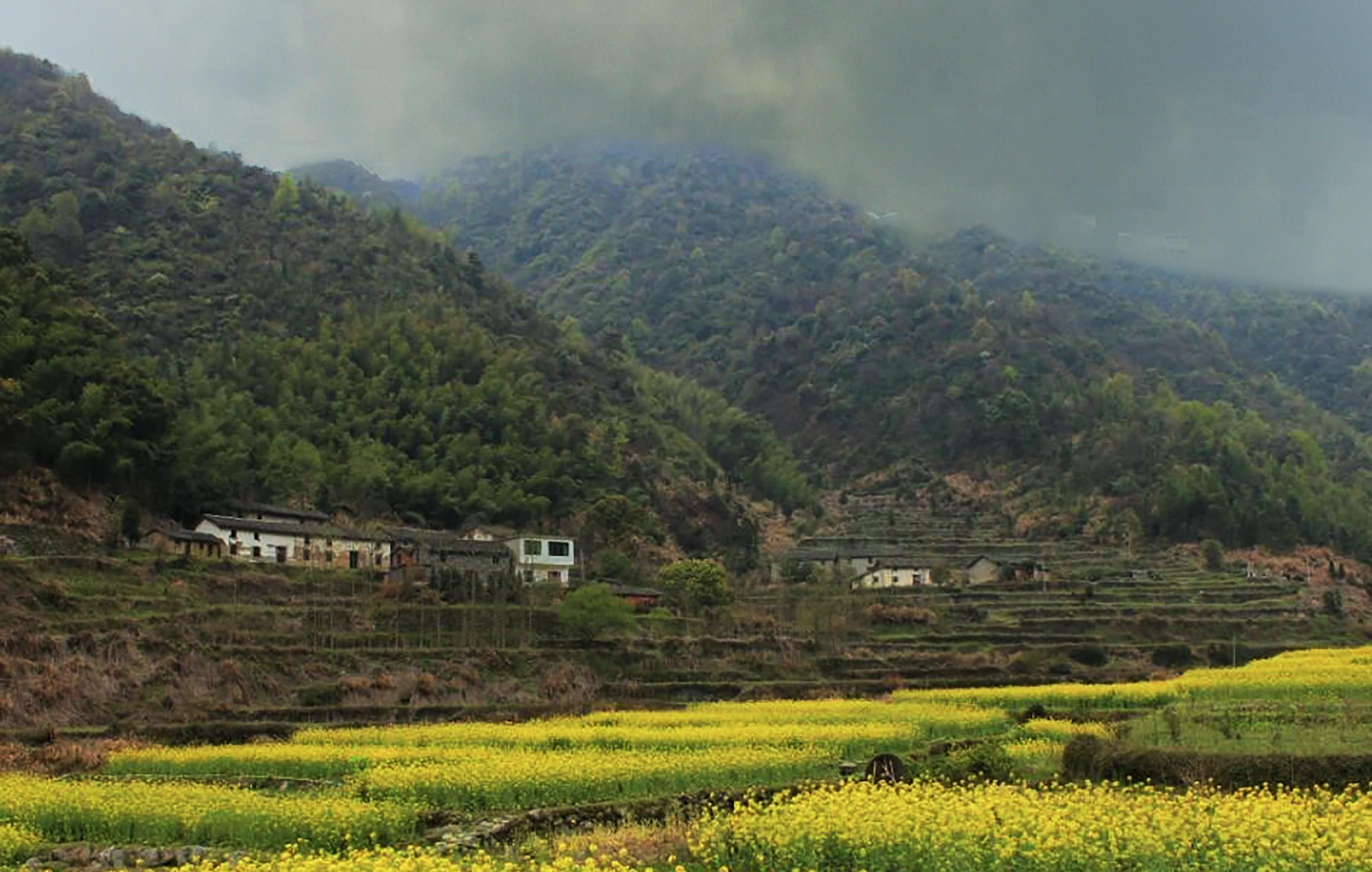 大峡谷|探秘陶渊明庐山隐居地，脍炙人口的《桃花源记》留下的不解之谜