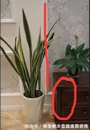 玻璃胶|入住新房一年多,具有生活温度的22个装修设计经验