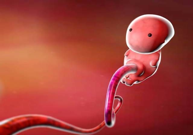 胎儿|畸形宝宝的出现,多和“吃”有关,这些食物要少吃,别不听劝