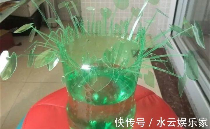 雪碧瓶别丢了,剪个口子拿来养花,一点不比买得花盆差!