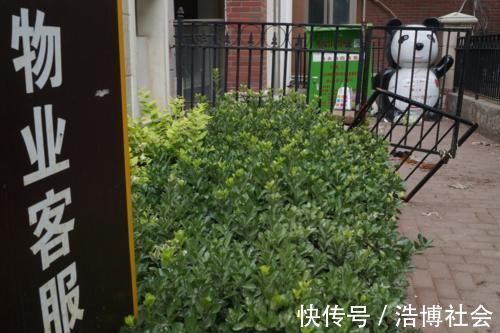 看房|去售楼处看房,不要忘记问这4句话,让售楼人员不敢忽悠你