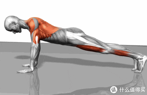 水箱|空格谈健身 篇十五：盘点不占空间的居家减肥锻炼必备单品