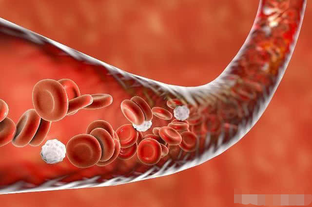 脚尖|每天“踮脚尖”10分钟，3个变化或许“不请自来”，不妨试试