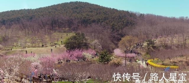 爱人|旧爱回首，桃花朵朵，喜鹊飞舞，难舍难分，旧情复燃