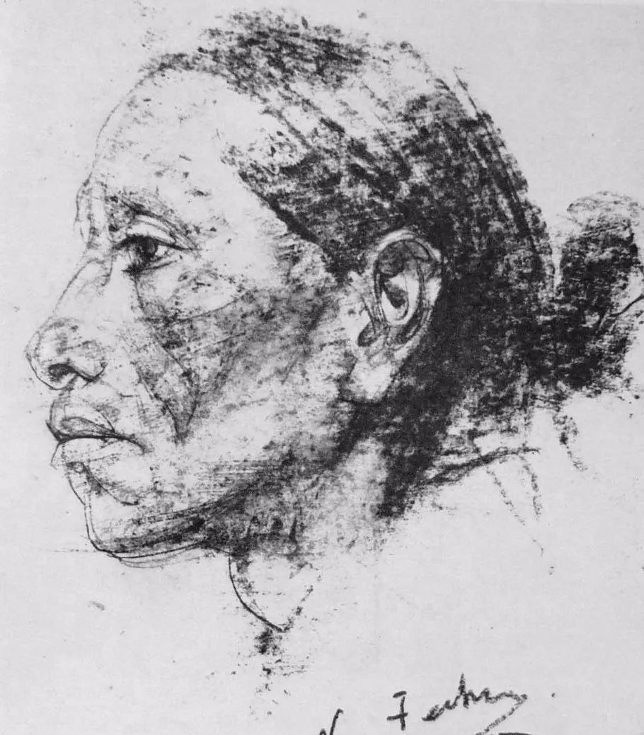 陶斯$如果没有一定的素描功底,是画不出这样经典作品的