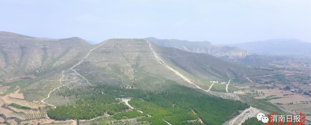 守护者|大唐帝陵的守护者 专属蒲城导游的奇妙十二时辰