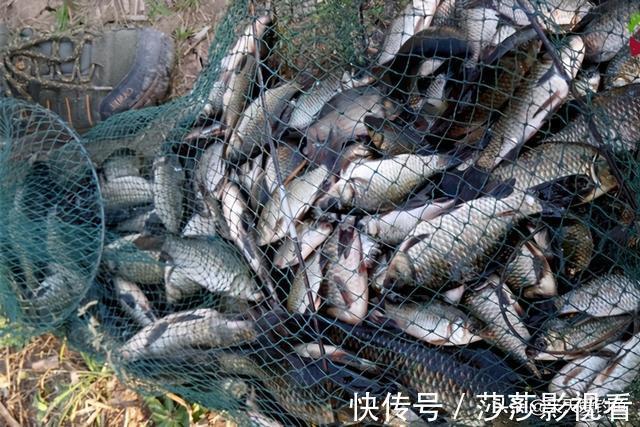 七星漂钓组|冬季野河钓鲫鱼，不是每段都有鱼，找这四种位置，鲫鱼基本躲这里