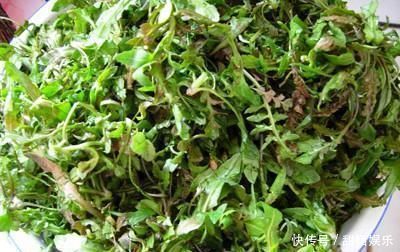 田边1“野草”,学名护生草,以前到处见,如今却很少