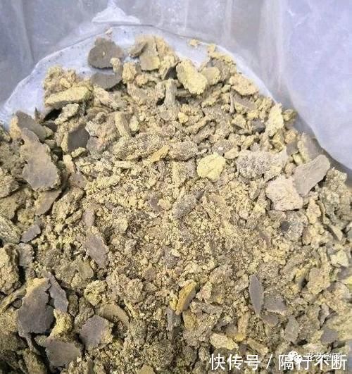花土|花盆里撒一把“粉末”，防冻杀菌增肥力，根壮叶绿，猛长个！