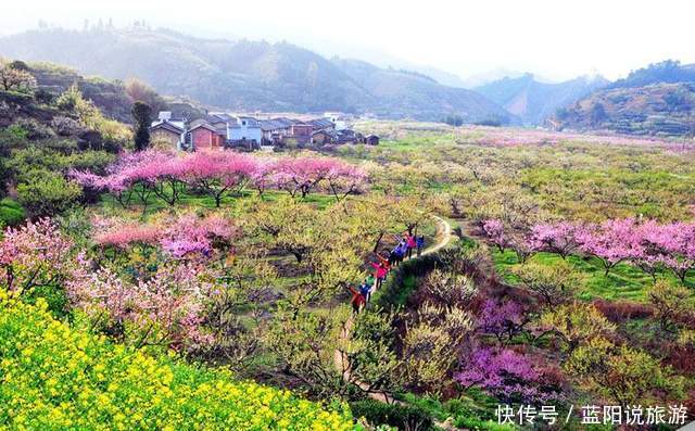 老年|2021年春季国内赏花（二）桃花，推荐16个打卡地